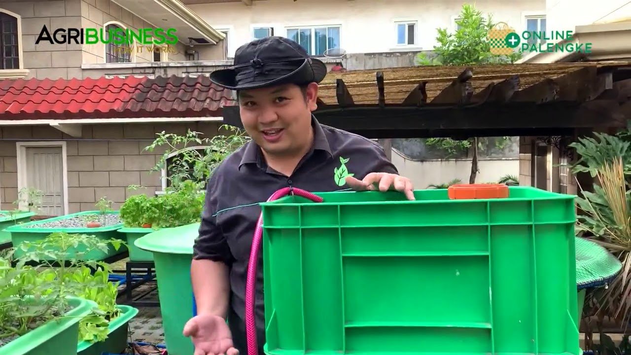 Creating a Thriving Backyard Aquaponics System in Charleston